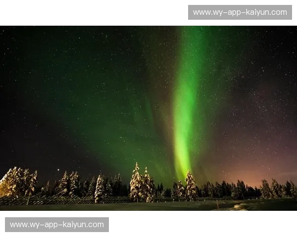 代码森林的极光：重塑VS2013背景，让你的编程视界从此不同